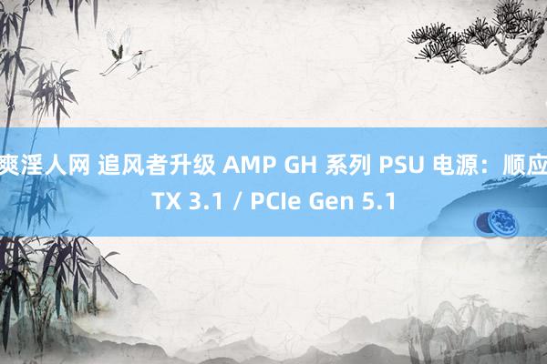 爽爽淫人网 追风者升级 AMP GH 系列 PSU 电源：顺应 ATX 3.1 / PCIe Gen 5.1