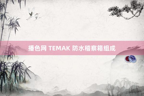 播色网 TEMAK 防水稽察箱组成