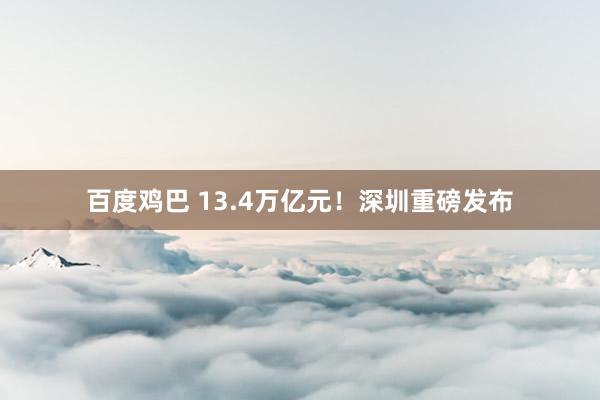 百度鸡巴 13.4万亿元！深圳重磅发布