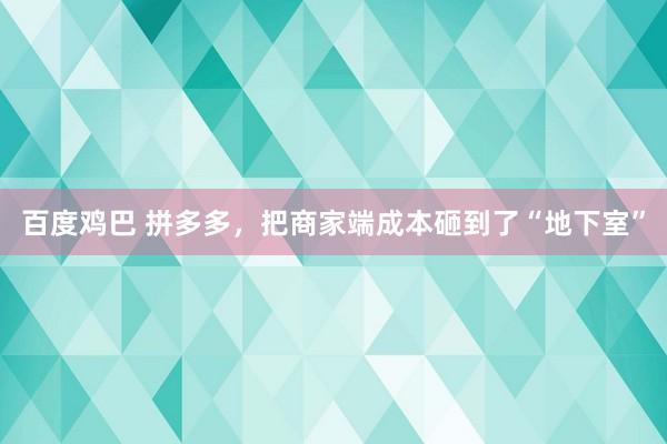 百度鸡巴 拼多多，把商家端成本砸到了“地下室”