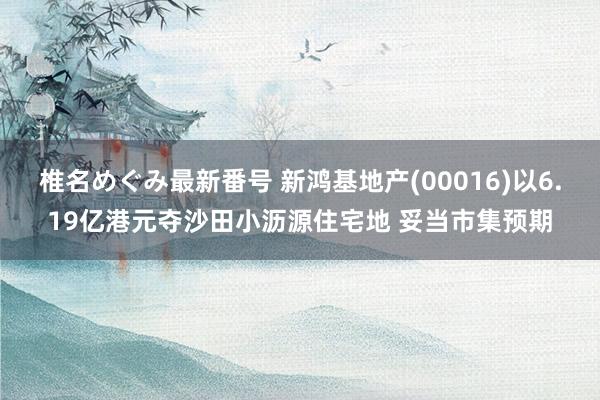 椎名めぐみ最新番号 新鸿基地产(00016)以6.19亿港元夺沙田小沥源住宅地 妥当市集预期