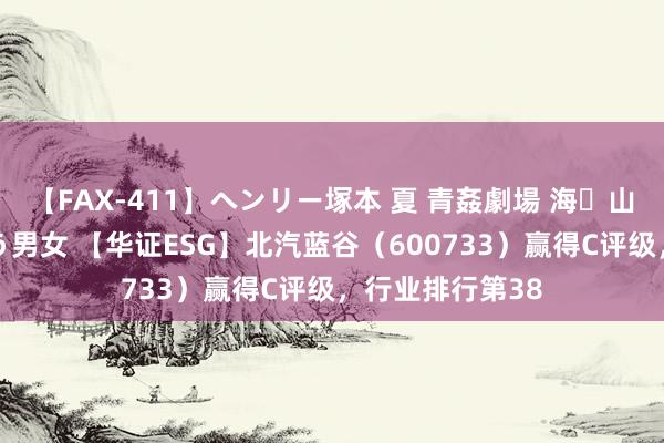 【FAX-411】ヘンリー塚本 夏 青姦劇場 海・山・川 ハマり狂う男女 【华证ESG】北汽蓝谷（600733）赢得C评级，行业排行第38