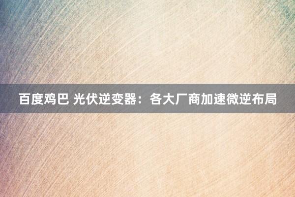 百度鸡巴 光伏逆变器：各大厂商加速微逆布局