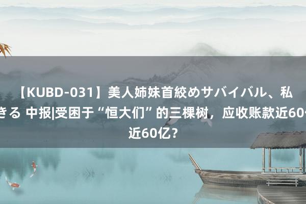 【KUBD-031】美人姉妹首絞めサバイバル、私生きる 中报|受困于“恒大们”的三棵树，应收账款近60亿？