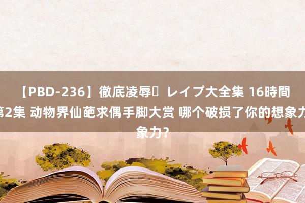 【PBD-236】徹底凌辱・レイプ大全集 16時間 第2集 动物界仙葩求偶手脚大赏 哪个破损了你的想象力？