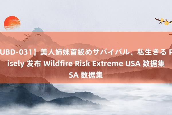 【KUBD-031】美人姉妹首絞めサバイバル、私生きる Precisely 发布 Wildfire Risk Extreme USA 数据集