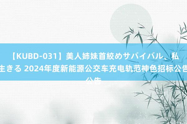 【KUBD-031】美人姉妹首絞めサバイバル、私生きる 2024年度新能源公交车充电轨范神色招标公告