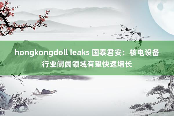 hongkongdoll leaks 国泰君安：核电设备行业阛阓领域有望快速增长