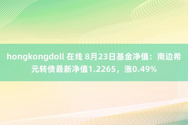 hongkongdoll 在线 8月23日基金净值：南边希元转债最新净值1.2265，涨0.49%