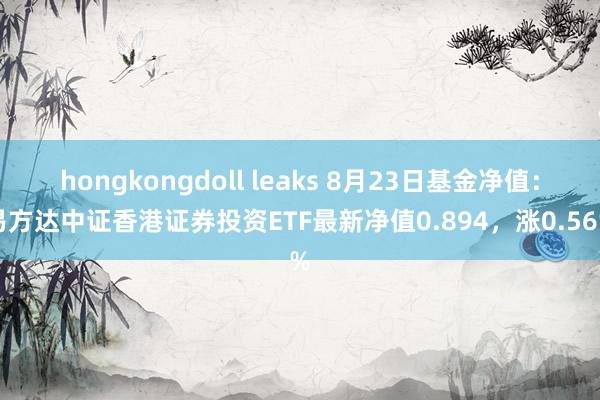 hongkongdoll leaks 8月23日基金净值：易方达中证香港证券投资ETF最新净值0.894，涨0.56%