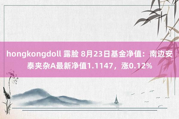 hongkongdoll 露脸 8月23日基金净值：南边安泰夹杂A最新净值1.1147，涨0.12%