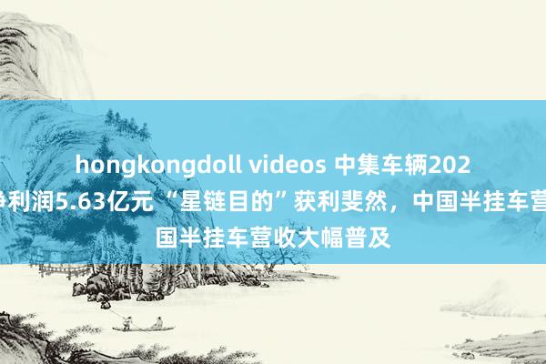 hongkongdoll videos 中集车辆2024年上半年净利润5.63亿元 “星链目的”获利斐然，中国半挂车营收大幅普及