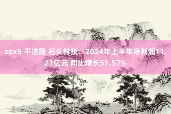 sex5 不迷路 石头科技：2024年上半年净利润11.21亿元 同比增长51.57%