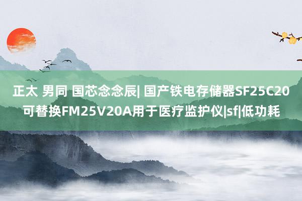 正太 男同 国芯念念辰| 国产铁电存储器SF25C20可替换FM25V20A用于医疗监护仪|sf|低功耗