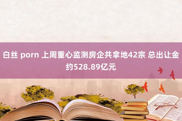 白丝 porn 上周重心监测房企共拿地42宗 总出让金约528.89亿元