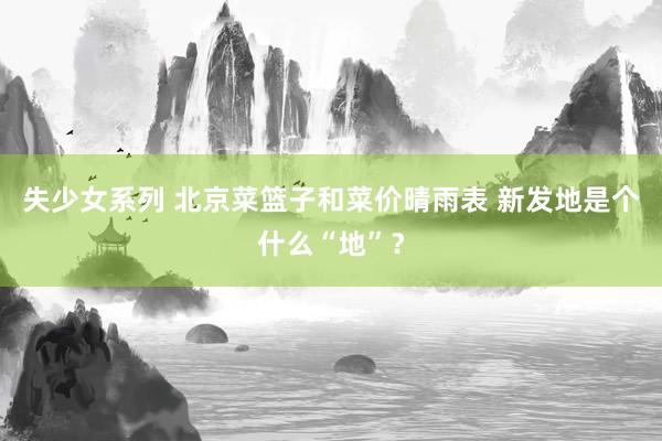 失少女系列 北京菜篮子和菜价晴雨表 新发地是个什么“地”？