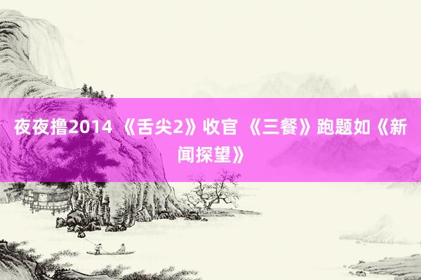 夜夜撸2014 《舌尖2》收官 《三餐》跑题如《新闻探望》